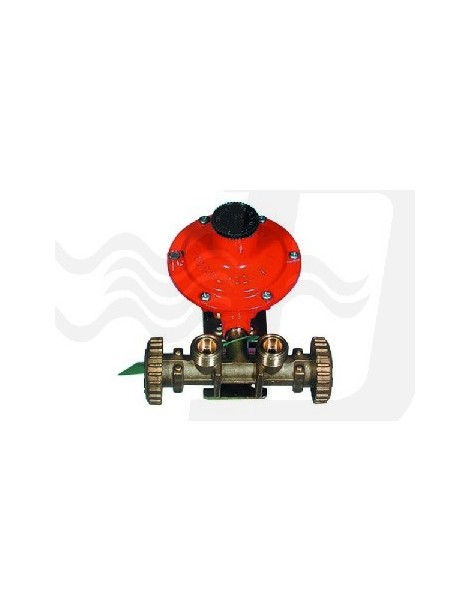 MINI CENTRALINA CON REGOLATORE 2202 SENZA MANICHETTE KG/H 7