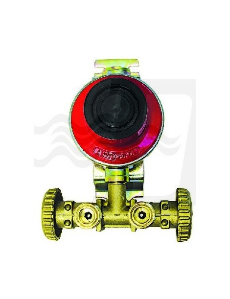 MINI CENTRALINA CON REGOLATORE 1800 SENZA MANICHETTE KG/H 4