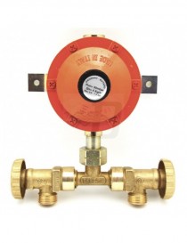 MINI CENTRALINA CON REGOLATORE SENZA FLESSIBILI 4 KG