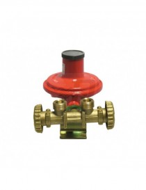 MINI CENTRALINA CON REGOLATORE 2205 SENZA MANICHETTE KG/H10