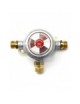 GRUPPO DI REGOLAZIONE CON INVERSORE AUTOMATICO 8 Kg/h