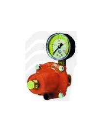REGOLATORE GPL ALTA PRESSIONE KG/H 30 CON MANOMETRO