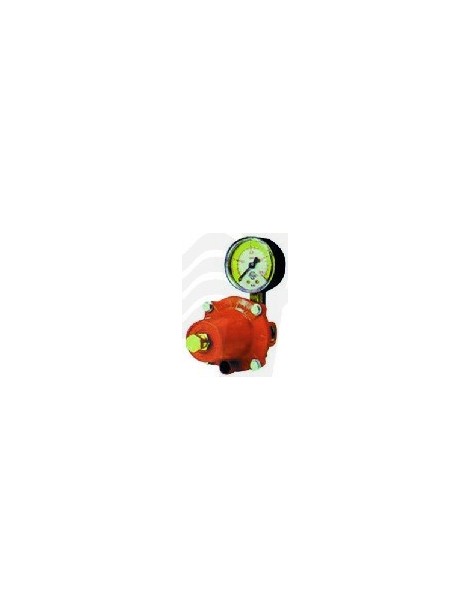 REGOLATORE GPL ALTA PRESSIONE KG/H 30 CON MANOMETRO