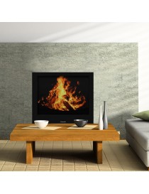 TERMOCAMINO MODELLO ERMES KW 27.5 DIANKAMIN PLUS