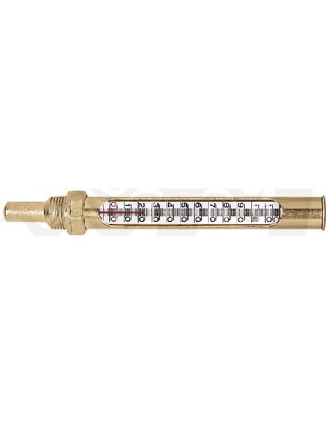 TERMOMETRO IN CUSTODIA 1/2"