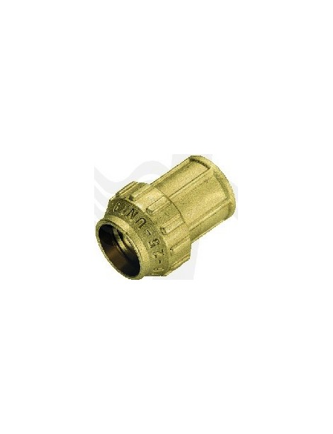RACCORDO DIRITTO FEMMINA OTTONE TIEMME 2"X63 PER POLIETILENE